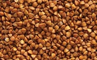 buckwheat-pic (1)